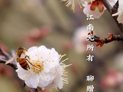 -蜀冈西峰生态公园