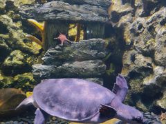 -欢乐海岸海洋奇梦馆