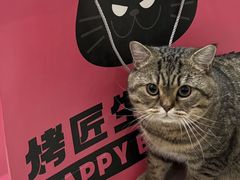 -烤匠麻辣烤鱼(观音桥大融城店)