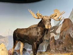 -陕西自然博物馆