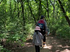 -沈阳辉山风景区