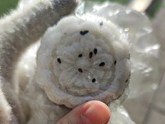 -随园糕团(狮子桥店)