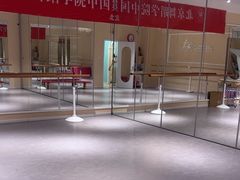 -炫艺舞蹈培训中心(枫尚奥特莱斯店)