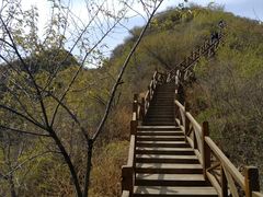 -大岭沟猕猴桃谷风景区
