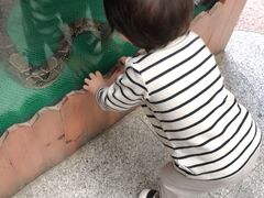 -上海大自然野生昆虫馆(东方明珠·爬宠昆虫探索中心)