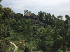 -火炉山森林公园