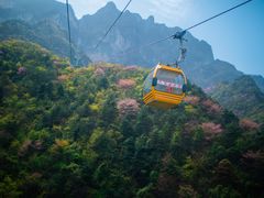 -秦岭天竺山景区