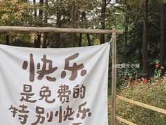 -三垟湿地