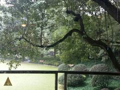 -申粤轩酒楼·三十年粤菜经典(丁香花园店)
