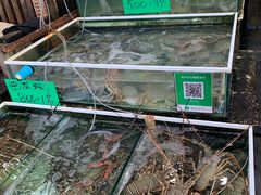 -拉威海鲜市场