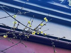 -钱王祠