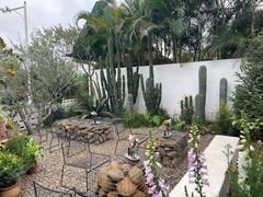 -自由生长植物工作室(深港花卉中心店)