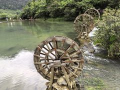 -靖西鹅泉风景区