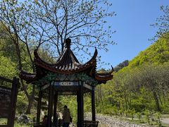 -大连天门山国家森林公园