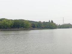 -昆山城市生态森林公园