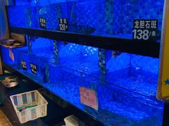 水产区-莲花公园煎蟹(总店)