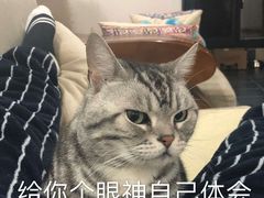 -飞鸟射箭俱乐部(燎升城市生活广场店)