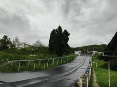 -魔指传奇足疗保健SPA(牛市口店)