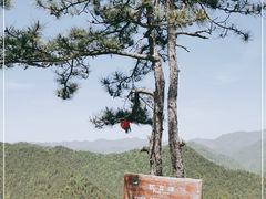 -商洛老君山旅游风景区