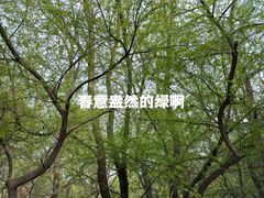 -棋盘山风景区