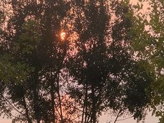 -小麦岛公园
