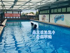 -太阳岛旅游度假区