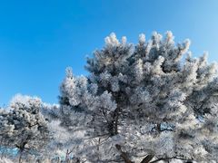 -吉林市朱雀山国家森林公园