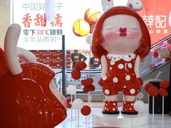 -天虹购物中心(石路店)