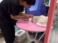 -FAELING PETS美天灵宠物(合生汇店)