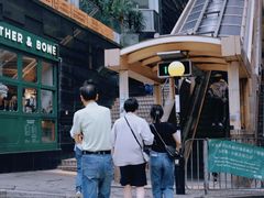 -Big Bus Tours 敞篷观光巴士