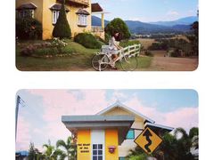 -倒立小屋