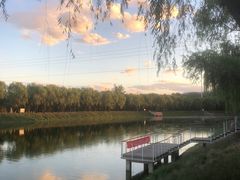 -尚庄度假村·庭台树下·户外烧烤·团建CS·轰趴营地(上庄水库店)