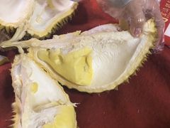 -五里多农博广场