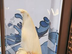 -广舟(千禧店)