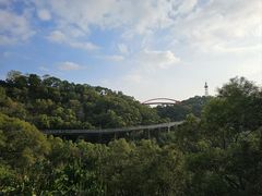 -金鸡山公园