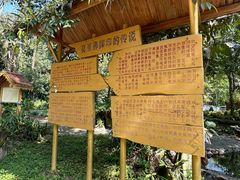 -莫里热带雨林景区