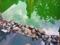 -贵州师范大学(宝山北路校区)