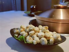 野生珍珠马蹄-狐狸爱上椰子鸡(滨江星光大道店)