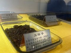 -上海昆虫博物馆