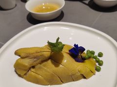 -燕春楼(海河华鼎店)