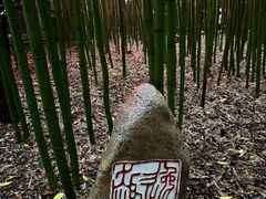 -竹泉村旅游度假区