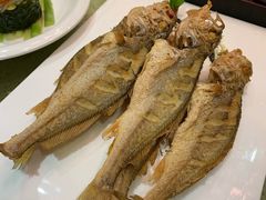 -铜锣湾·有麝自然香(重庆新天地店)