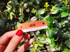 -喧闹·东方大气茶(鹅岭二厂店)