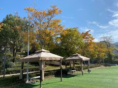 -浙江安吉JW万豪酒店·万豪中餐厅