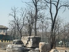 -秦皇岛野生动物园