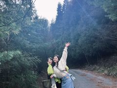 -武陵山森林公园