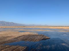 -野鸭湖国家湿地公园