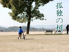 -山明水秀大饭店