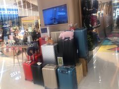 -巴黎春天(浦建店)
