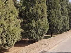-秦始皇帝陵博物院-丽山园